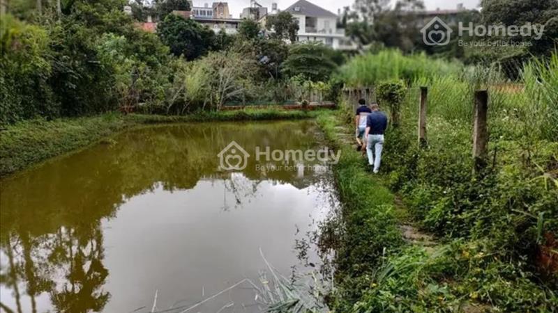Cần bán gấp nhà vườn nghỉ dưỡng Hẻm Tây Sơn - Phường 2 - Tp. Bảo Lộc - Lâm Đồng - Ảnh 3