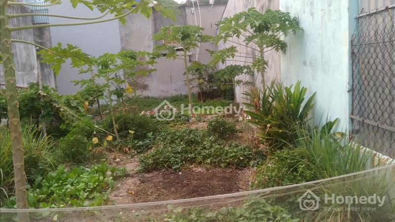 Bán đất sổ đỏ thổ cư Xuân Thới Thượng, Huyện Hóc Môn - TP Hồ Chí Minh - Ảnh 3