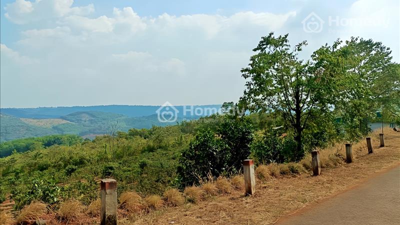Bán đất Thị Trấn Kiến Đức, view săn mây, 53m nhựa, cách Trung Tâm 2.5km, giá siêu rẻ 18 Triệu/1m - Ảnh 10