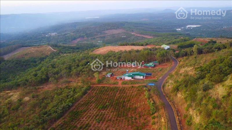 Bán đất Thị Trấn Kiến Đức, view săn mây, 53m nhựa, cách Trung Tâm 2.5km, giá siêu rẻ 18 Triệu/1m - Ảnh 2