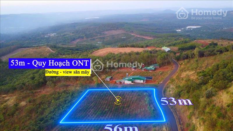 Bán đất Thị Trấn Kiến Đức, view săn mây, 53m nhựa, cách Trung Tâm 2.5km, giá siêu rẻ 18 Triệu/1m - Ảnh 3
