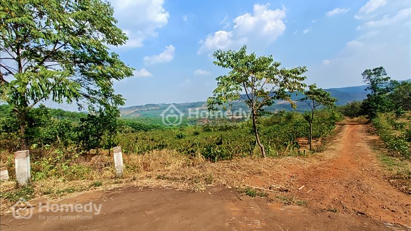 Bán đất Thị Trấn Kiến Đức, view săn mây, 53m nhựa, cách Trung Tâm 2.5km, giá siêu rẻ 18 Triệu/1m - Ảnh 5