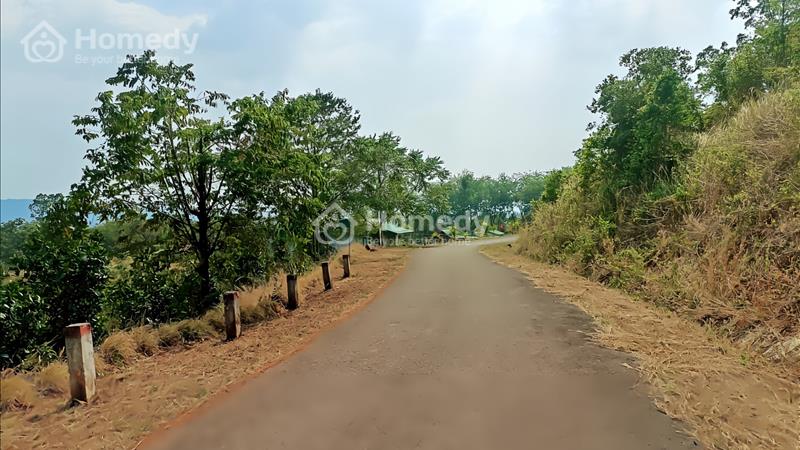 Bán đất Thị Trấn Kiến Đức, view săn mây, 53m nhựa, cách Trung Tâm 2.5km, giá siêu rẻ 18 Triệu/1m - Ảnh 6
