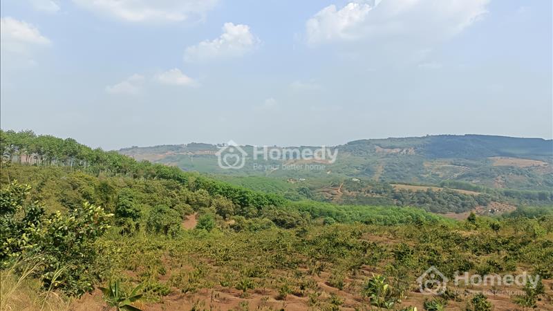 Bán đất Thị Trấn Kiến Đức, view săn mây, 53m nhựa, cách Trung Tâm 2.5km, giá siêu rẻ 18 Triệu/1m - Ảnh 8