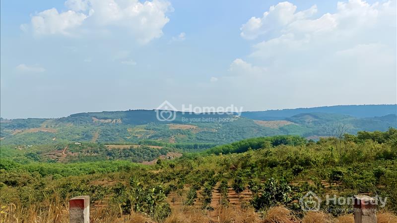 Bán đất Thị Trấn Kiến Đức, view săn mây, 53m nhựa, cách Trung Tâm 2.5km, giá siêu rẻ 18 Triệu/1m - Ảnh 9