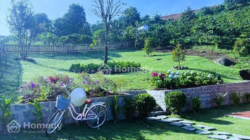 Đất nền nghỉ dưỡng 1000m2 tại Bảo Lộc, sẵn sổ giá chỉ từ 1.1 triệu/m2 - Ảnh 2