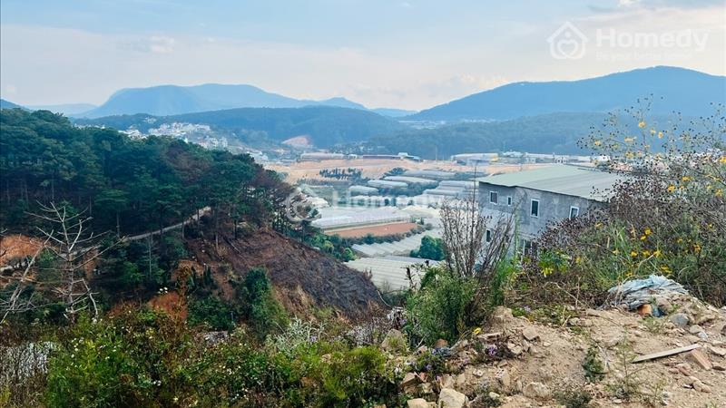 Chính chủ bán 4000m2 đất TT Đà Lạt QH full Thổ Cư - Ảnh 4