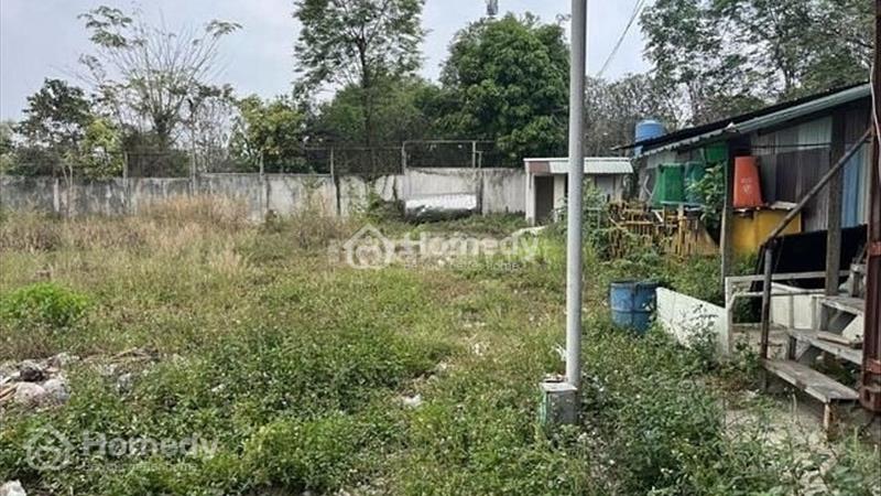 Cho thuê đất, nhà xưởng, kho bãi Thành phố Thuận An - Bình Dương giá thỏa thuận - Ảnh 2