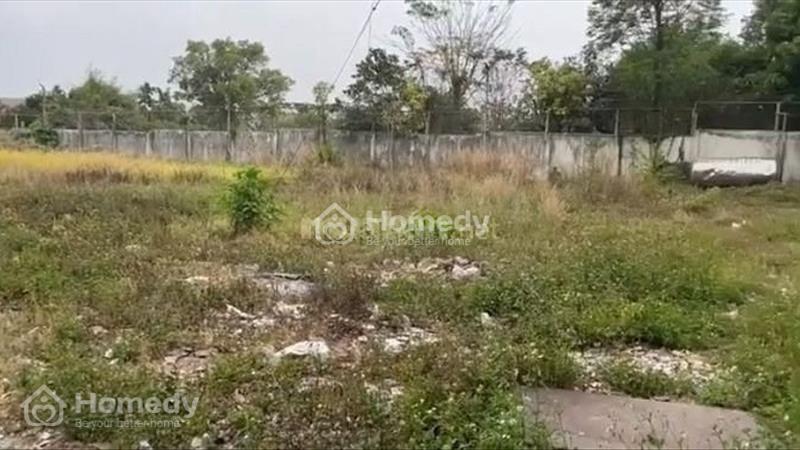 Cho thuê đất, nhà xưởng, kho bãi Thành phố Thuận An - Bình Dương giá thỏa thuận - Ảnh 3