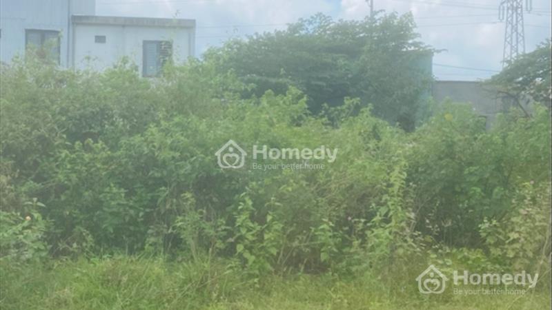 Cần bán đất đường 5.5m TĐC bến xe Đức Long - Hoà Phước - đường Nguyễn Án - Diện tích: 100m² - Ảnh 3