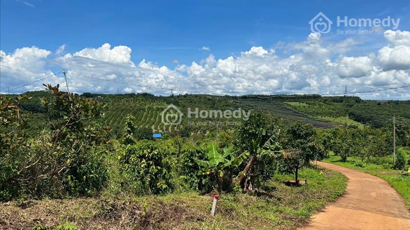 Bán 1213m2 đất có sẵn 200m2 thổ cư tại thôn 13 xã Đa'ksin Huyện Đăk R'Lấp - Đắk Nông giá 390 Triệu - Ảnh 2