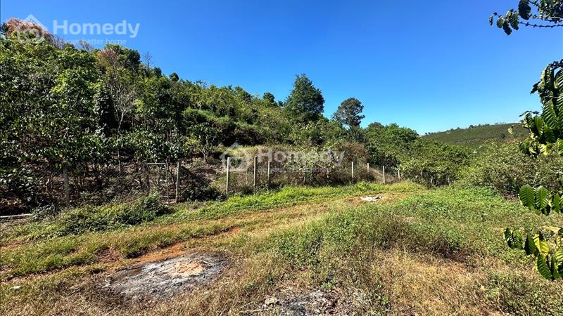 1600m đất Lộc Ngãi 400m2 thổ cư đường ô tô giá 920tr - Ảnh 1