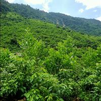 Bán 9.5HA đất rẫy tại xã Hòa Bắc, Đà Nẵng, 4.9 tỷ TL