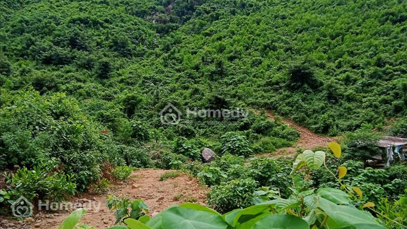 Bán 9.5HA đất rẫy tại xã Hòa Bắc, Đà Nẵng, 4.9 tỷ TL - Ảnh 3