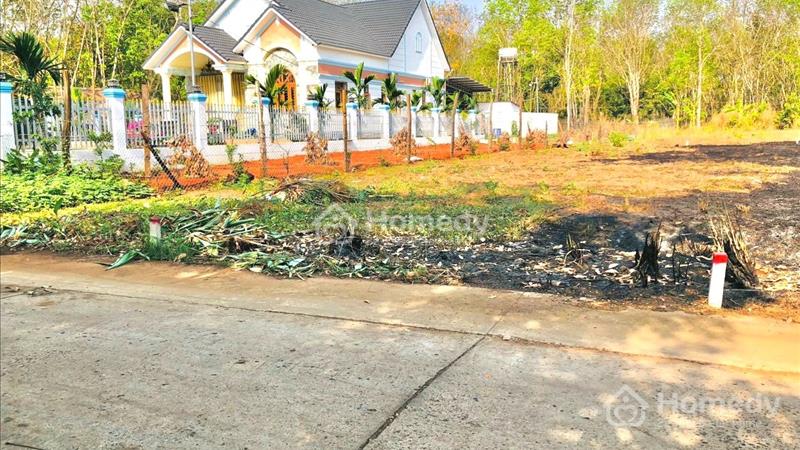 Kẹt tiền cần bán 3,5 sào (3501m2) ở Chơn Thành giá 779 triệu cách đường liên xã 100m LH 0937655266 - Ảnh 2