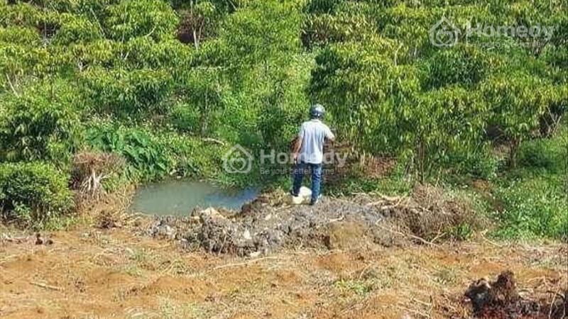 Bán đất Huyện Bảo Lâm - Lâm Đồng giá 400.00 Triệu - Ảnh 3