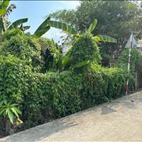 Chủ giảm mạnh bán nhanh 1000.5m2 đất Bình Nhâm, TP. Thuận An. Giá 8 tỷ