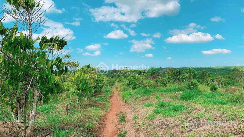 Bán đất Huyện Bảo Lâm - Lâm Đồng giá 400.00 Triệu - Ảnh 1