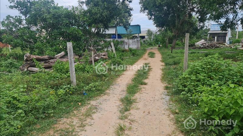 🔵12x21 (267m2) Hẻm Ngô Quyền, P Tân An, LaGi, Có Sẵn Căn Nhà Giá Ngộp Chỉ 2.2 tỷ  - Ảnh 3
