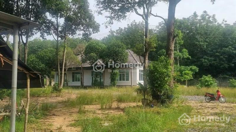  DT 1030M2 (25*41*200TC) bán 5 lô giá 335 triệu đất giá rẻ thị xã bình long  - Ảnh 3