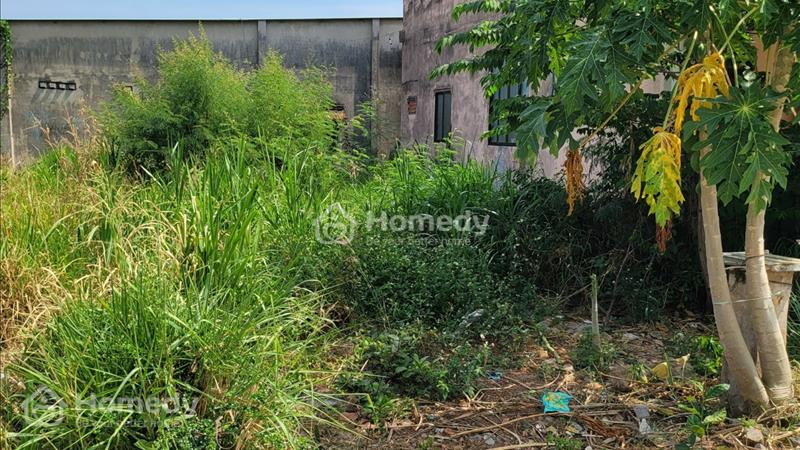 Bán đất thị trấn đất đỏ - chính chủ - thổ cư 100% - giao dịch trực tiếp - Ảnh 4