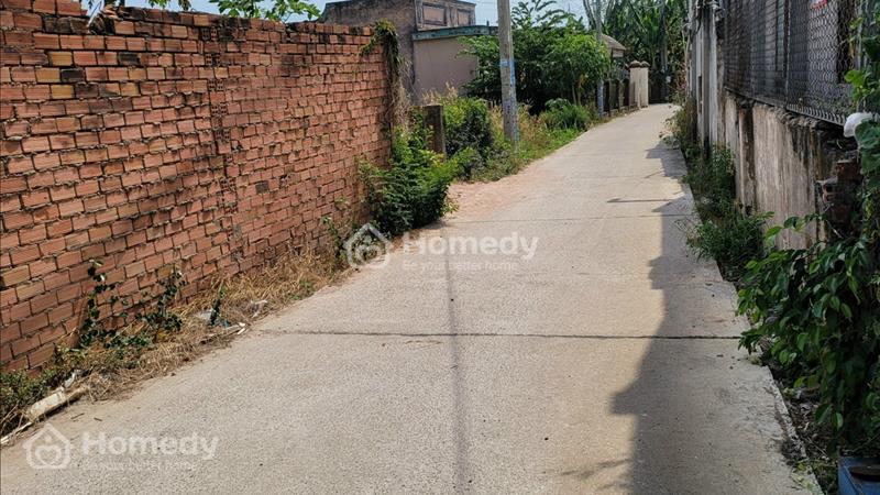 Bán đất thị trấn đất đỏ - chính chủ - thổ cư 100% - giao dịch trực tiếp - Ảnh 3