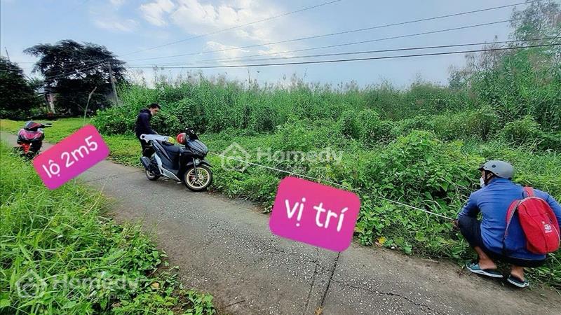 bán đất thổ cư gần chợ kinh ngang Đông bình thới lai - Ảnh 4