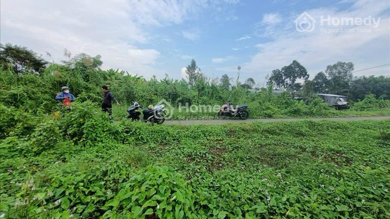 bán đất thổ cư gần chợ kinh ngang Đông bình thới lai - Ảnh 3