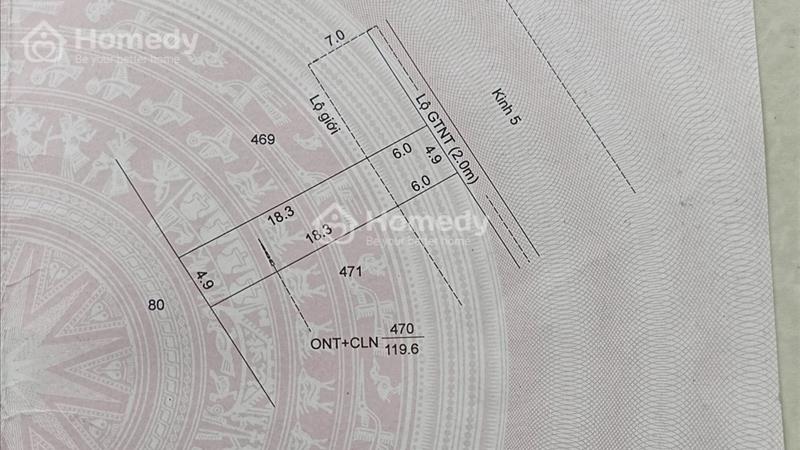 bán đất thổ cư gần chợ kinh ngang Đông bình thới lai - Ảnh 8