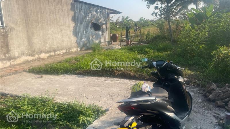 Bán đất Huyện Phong Điền - Cần Thơ giá 300.00 Triệu - Ảnh 3