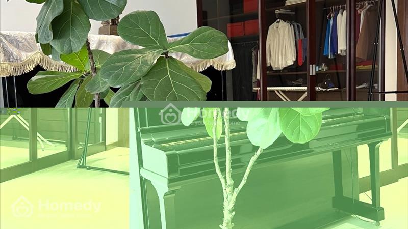 Bán Penthouse Toà Golden Field Mỹ Đình tầng cao, view thoáng - Ảnh 11