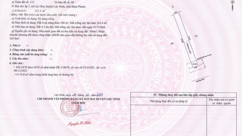 3 Cặp Liền Kề 5x55. Vị Trí Siêu Đẹp Sát Bên QL13. Ngay Trung Tâm Bình Phước - Ảnh 2