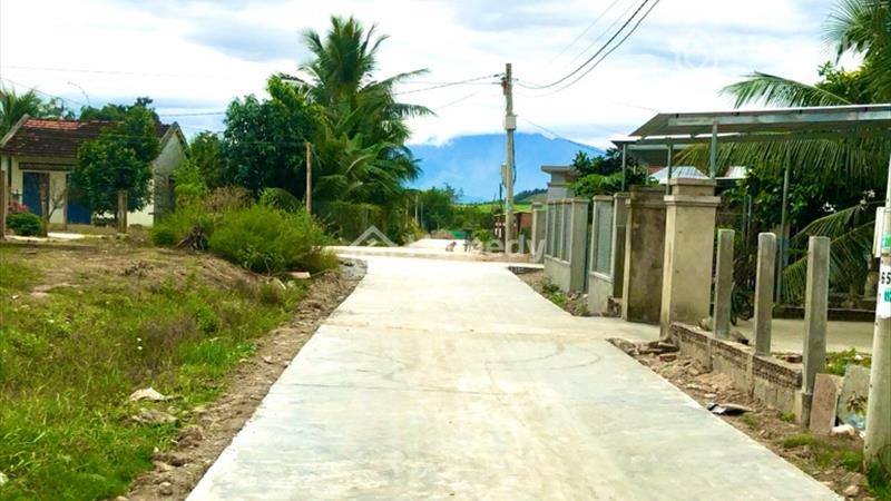 Đất thổ cư giá rẻ Ninh Hoà - Khanh Hoà - Ảnh 6