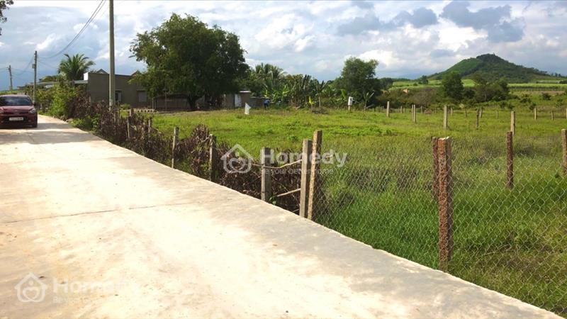 Đất thổ cư giá rẻ Ninh Hoà - Khanh Hoà - Ảnh 2