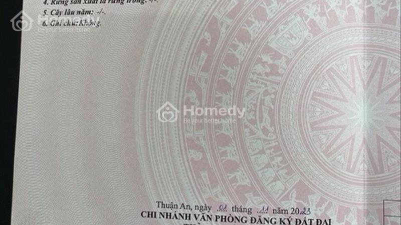 Bán đất nền Khu đô thị TMDV The Seasons Thành phố Thuận An - Bình Dương giá 5.7 tỷ đồng - Ảnh 1