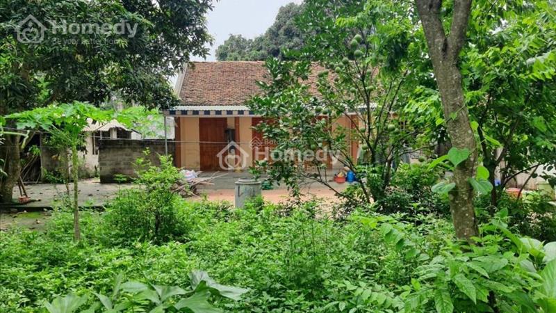 Cần bán nhanh lô đất nền 527 m2, mặt tiền 26m tại Xã Tân Tiến - Chương Mỹ - Hà Nội, giá 3.27 tỷ - Ảnh 3