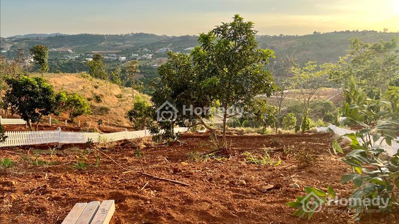 Bán 709m2 đất TT Nam Ban, view toàn cảnh thị trấn - Ảnh 4