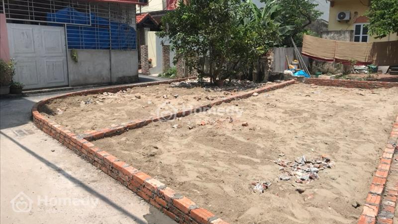 Cơ hội đầu tư vào đất nền xã Tân Lập, Đan Phượng, Hà Nội - Ảnh 3