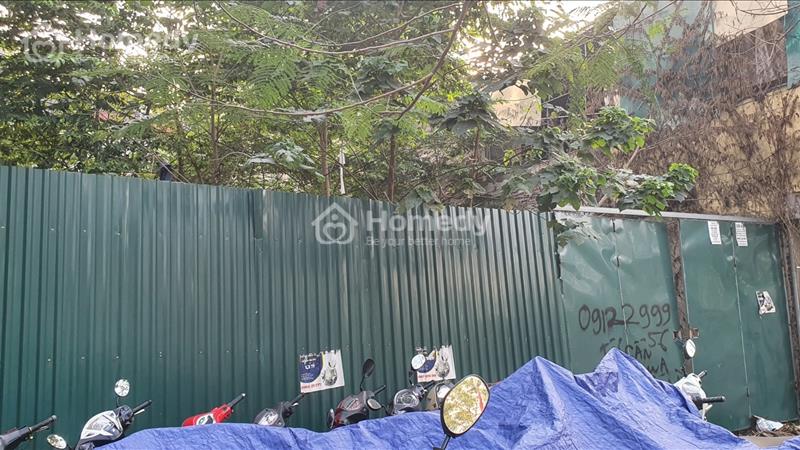 Hiếm! Bán đất Trương Định, Hoàng Mai DT 290 m2 với mặt tiền khủng  - Ảnh 1