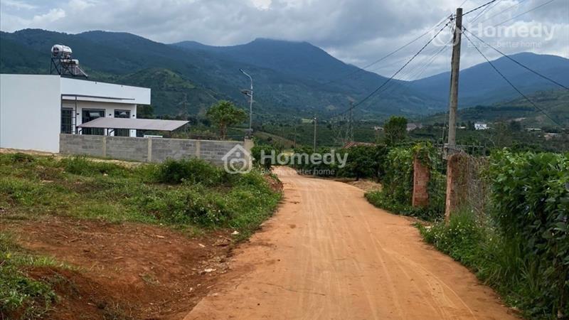 Đất Đinh Lạc 10x100 80m2 thổ cư giá 1350tr mt đường bê tông - Ảnh 5