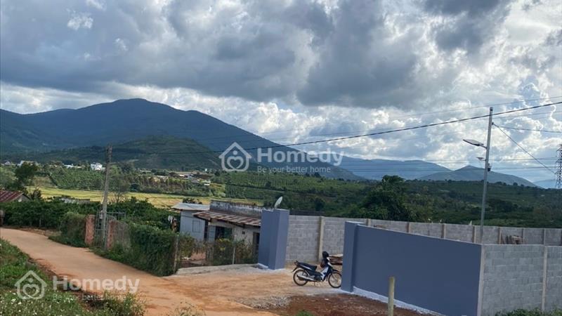 Đất Đinh Lạc 10x100 80m2 thổ cư giá 1350tr mt đường bê tông - Ảnh 6