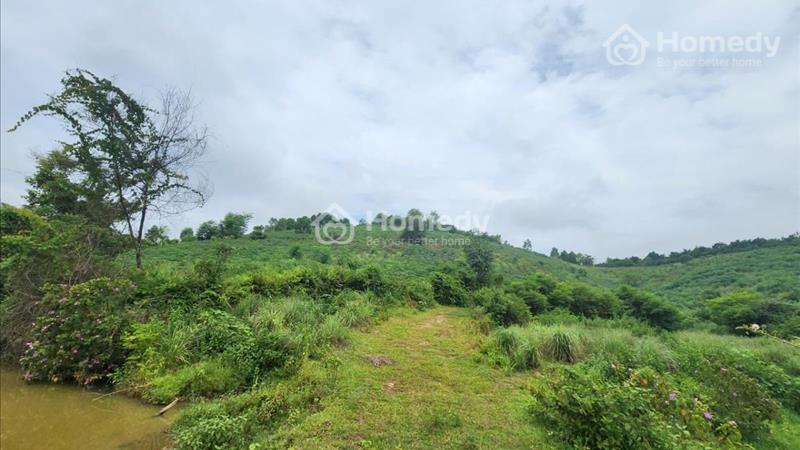 Cần bán ngay đất 200 m2 tại Bình Yên - Thạch Thất - Hà Nội, giá 5.x tỷ - Ảnh 1