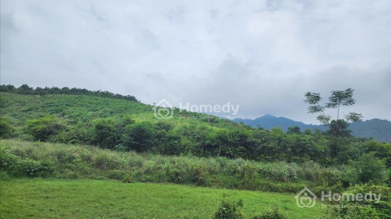 Bán miếng đất 200m2 tại Bình Yên - Thạch Thất - Hà Nội, giá 5.x tỷ - Ảnh 1