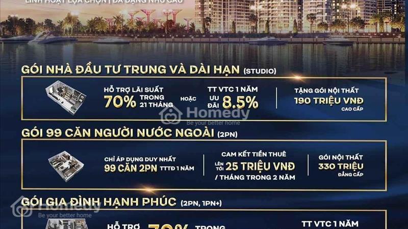 Bán căn hộ cao cấp pk beverly trực diện công viên 36ha và vinwonder đẹp nhất toàn khu - Ảnh 4