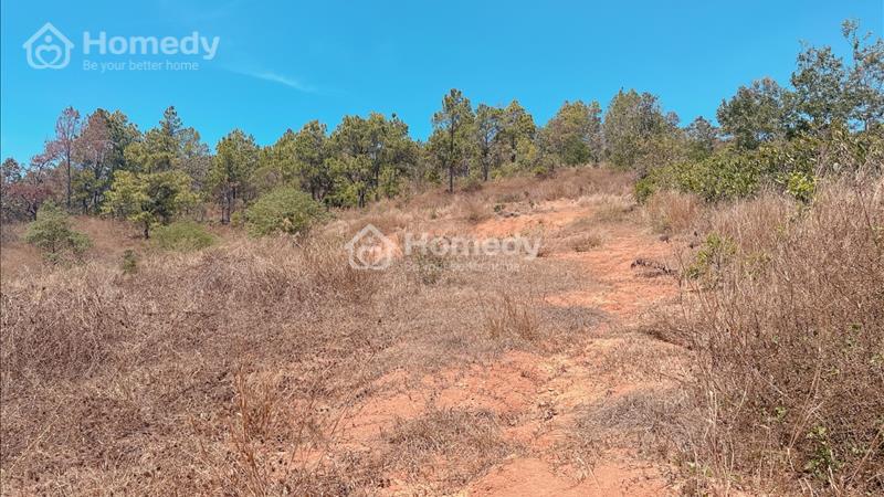 Chỉ với 1.4ty sở hữu được lô đất view đẹp lưng tựa núi tại Đông Thanh- Lâm Hà - Ảnh 3