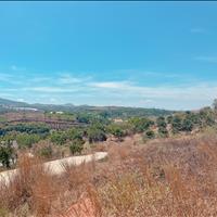 Chỉ với 1.4ty sở hữu được lô đất view đẹp lưng tựa núi tại Đông Thanh- Lâm Hà