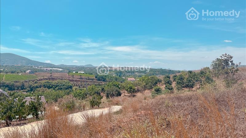 Chỉ với 1.4ty sở hữu được lô đất view đẹp lưng tựa núi tại Đông Thanh- Lâm Hà - Ảnh 1