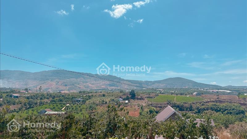 Chỉ với 1.4ty sở hữu được lô đất view đẹp lưng tựa núi tại Đông Thanh- Lâm Hà - Ảnh 2