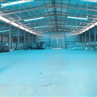 Bán nhà xưởng đất đóng thuế 1 lần tại Cụm QL45 Đônh sơ. 