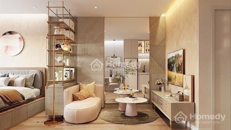 Bán căn hộ Thuận An - Bình Dương giá 900.00 Triệu - Tặng Nội Thất Full Khi Nhận Bàn Giao Nhà - Ảnh 6